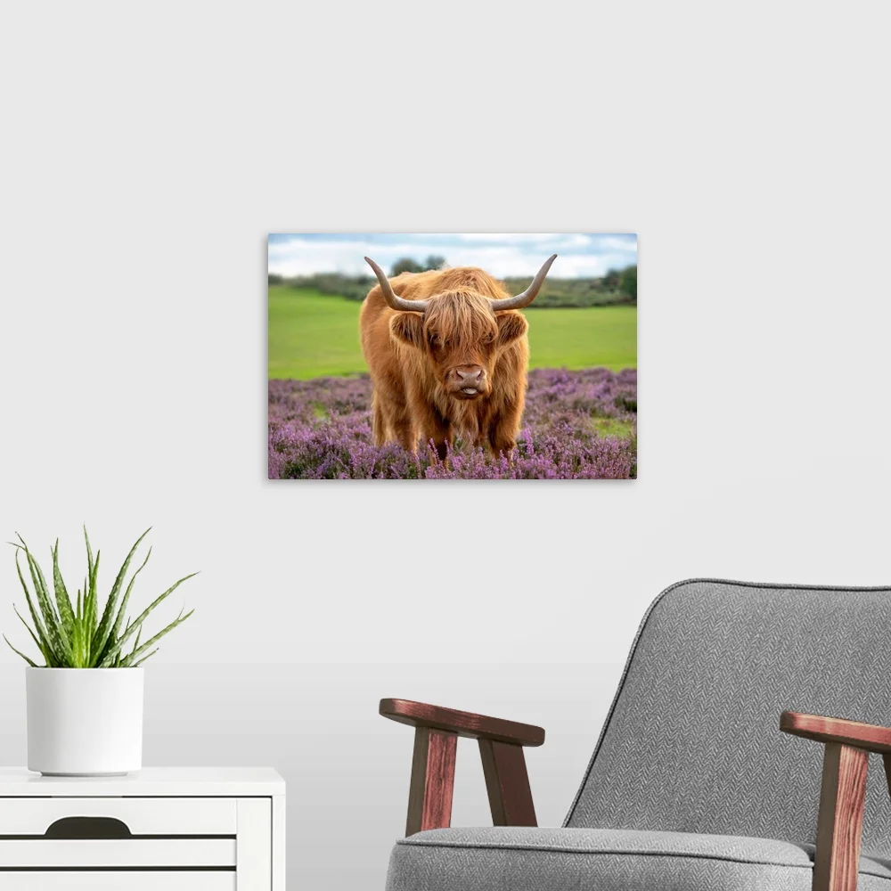 cow painting